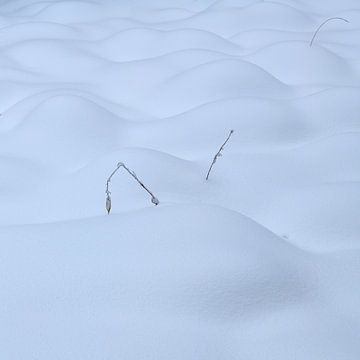 Golven in de sneeuw van Oliver Lahrem