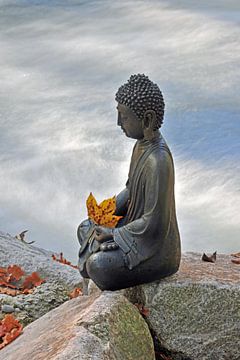 Buddha on the river 1.0 by Ingo Laue
