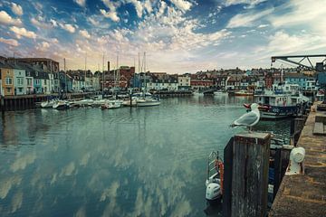 Weymouth Quay in Dorset - Engeland van Robert Szczotka