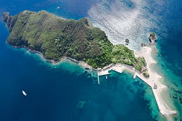 Groen beboste eiland in de zomer van bovenaf. landschap onder (luchtfoto van een paraglider) met de 