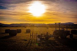 Morgen ein anderer Tag von Joey Ploch