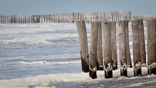 Breakwaters on the coast of Zeeland