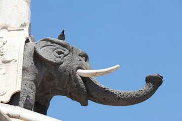 Elefant, Altstadt, Catania, Sizilien, Italien