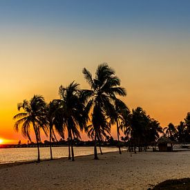 ein bunter Sonnenuntergang mit Palmen von Mark van Harlingen