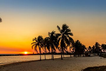 een kleurrijke zonsondergang met palmbomen van Mark van Harlingen