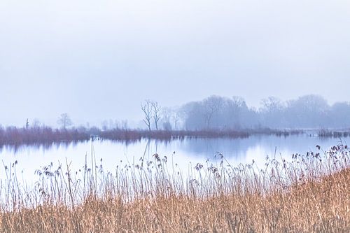 Un matin brumeux à Bourgoyen-Ossemeersen | Paysage