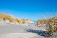 Strand op het eiland Schiermonnikoog in de Waddenzee van Sjoerd van der Wal Fotografie thumbnail