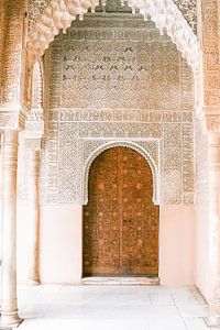 Alhambra Granada van shanine Roosingh