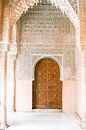Alhambra Granada by shanine Roosingh thumbnail