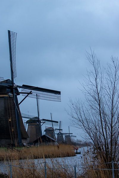 Kinderdijk von Sebastian Stef