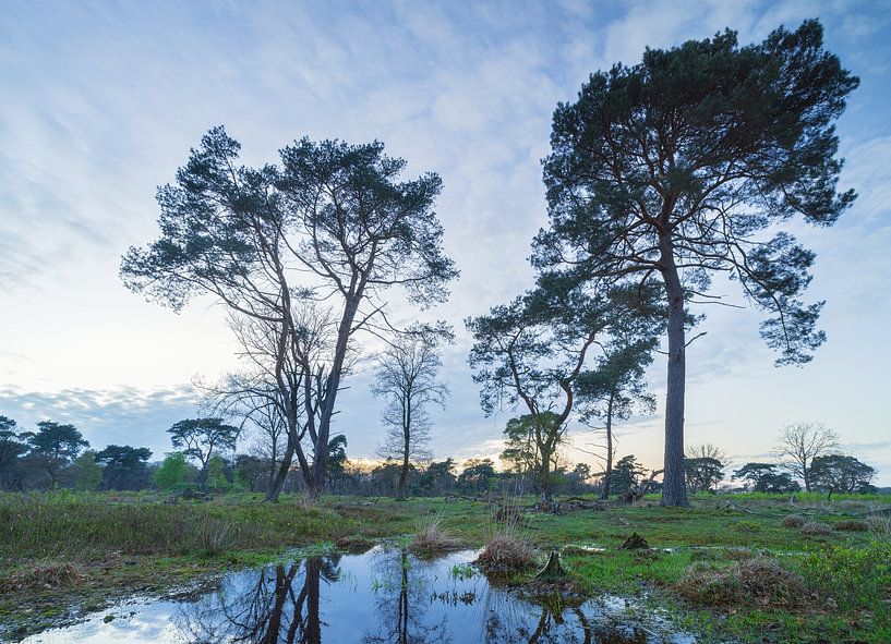 Sunset Schipborg - Drenthe (Netherlands) by Marcel Kerdijk