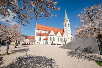 Almond blossom in spring at St. Mang Square and Church by Leo Schindzielorz