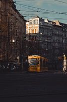 Tram in Maagdenburg