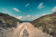 Der Weg zum Strand - Sommer an der Nordsee von Steffen Peters Miniaturansicht