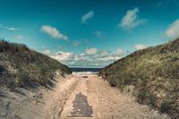 De weg naar het strand - zomer aan de Noordzee