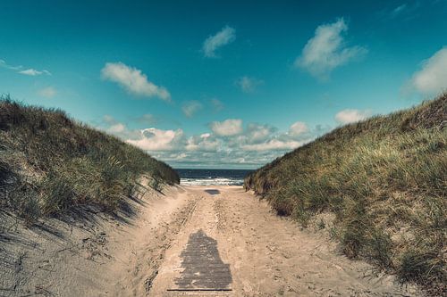 The way to the beach - summer at the North Sea by Steffen Peters