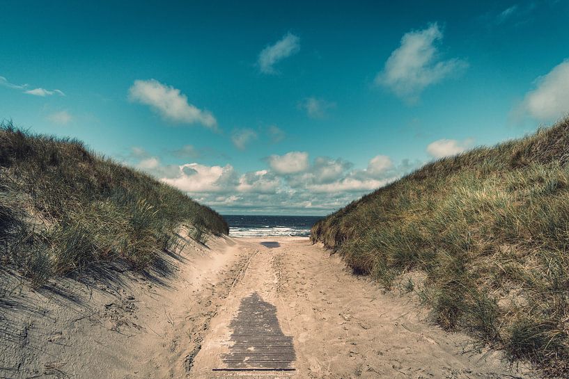 De weg naar het strand - zomer aan de Noordzee van Steffen Peters