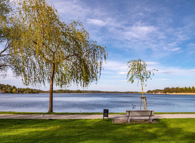 See an der Mecklenburgische Seenplatte von Animaflora PicsStock