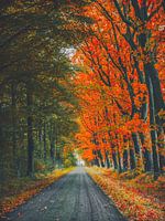 Herbst 10