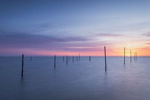 Minimalistische Landschaft mit Holzpfählen im Markermeer bei Sonnenaufgang in der Nähe von Edam in Nordholland