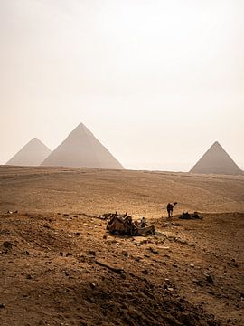 Pyramides - Égypte - Gizeh - 1 sur Nuance Beeld