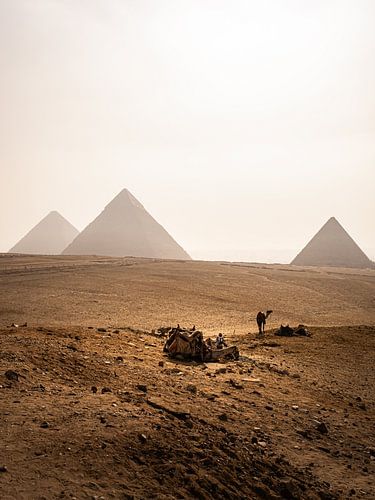 Pyramids - Egypt - Giza - 1