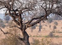 Ein Moment des Friedens