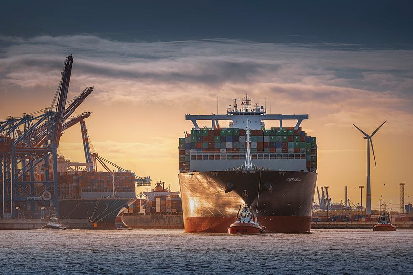 Fotografie Hamburg Architectuur - Haven met containerschip in Hamburg van Ingo Boelter