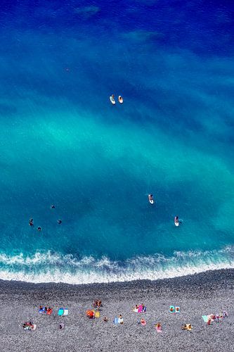 Life is good at the beach