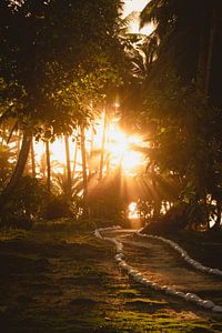Coucher de soleil Mentawai sur Andy Troy