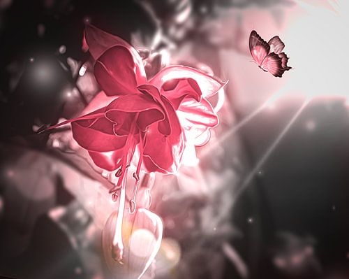 Le papillon et la fleur roses