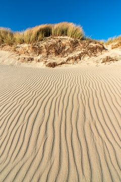 Dunes de la mer du Nord sur Kirsten Warner