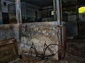 Altes rostiges Fahrrad in Verlassenem Ort (Lost Places) van schroeer design thumbnail
