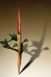 Le printemps se dessine 3/4 van Ben Goossens