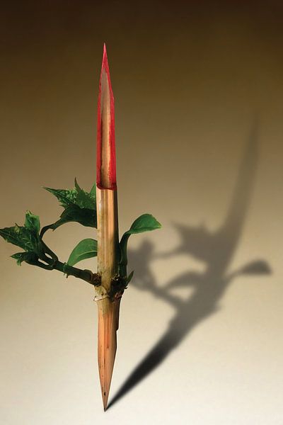Le printemps se desine 3/4 von Ben Goossens