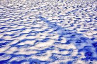 Fresh snow