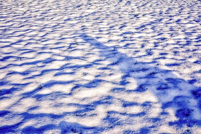 Fresh snow by Nynke Nicolai