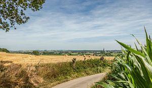 Panorama mit Strohballen von Files