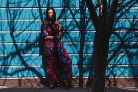 Colors and Shades by Jos de Boer