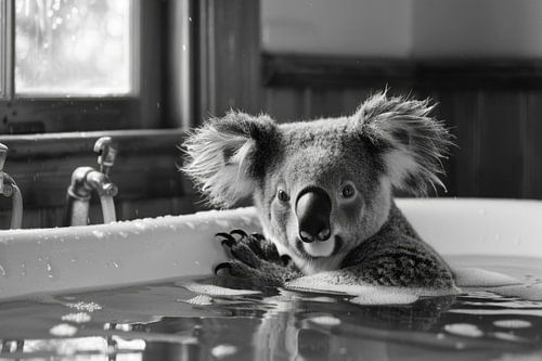 Ontspannen koala in de badkamer - een charmante badkamerfoto voor je toilet
