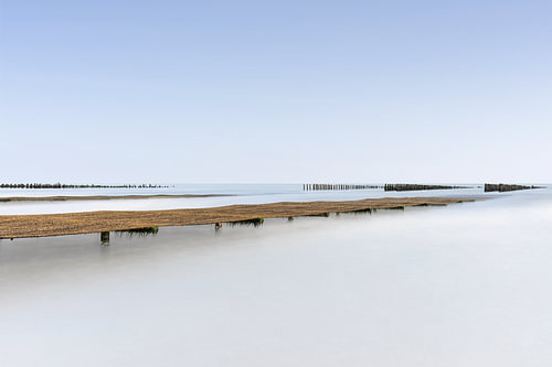 Muschelbett an der Opalküste II
