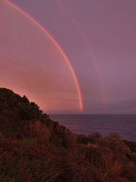 Dubbele regenboog aan de Côte d'Azur van Timon Schneider