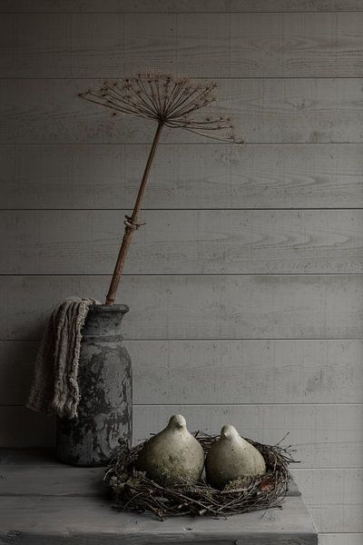 Nature morte rurale avec pigeons de pierre et berce du Caucase par Mayra Fotografie