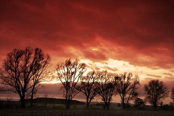 Restlicht von Dieter Ludorf