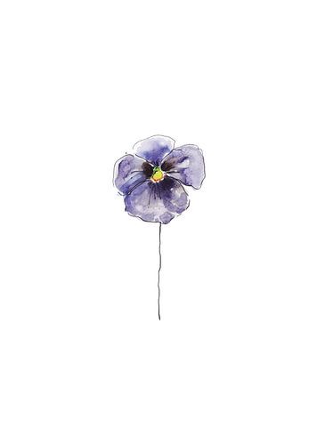 Mooie aquarel print van een paars viooltje