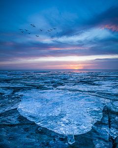 Harlingen, strand - Kruiend ijs van Edwin Kooren
