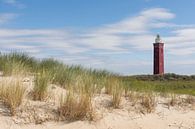 Leuchtturm Westhoofd in Ouddorp von Charlene van Koesveld Miniaturansicht