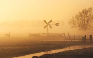 Nebelschwaden über den Wiesen. von Richard Nell