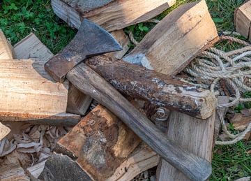 Axt mit Brennholz für den Kamin von Animaflora PicsStock