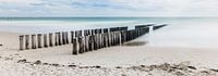 groynes at zoutelande 